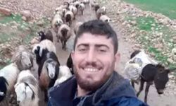 Silahlı saldırıya uğrayan çoban öldü