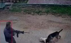 Sokak köpeklerine tüfekle ateş edip bir köpeği öldürd*ğü anlar kamerada