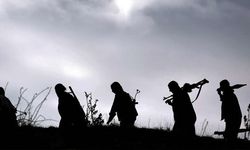 Son bir hafta içerisinde, 8 PKK'lı terörist teslim oldu