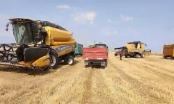 Tarımsal Destek Ödemeleri Kahramanmaraş’ta Hesaplara Yattı