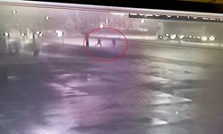 Telefonunu Almak İsterken Canından Oluyordu