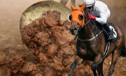 Vatandaşa yarış atı yediren firmayla ilgili yeni skandal