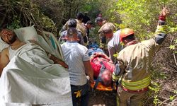 Hatay Arsuz’da korkutan kaza! Kekik toplarken 15 metrelik uçurumdan düşen Erol Dağlı ölümden döndü