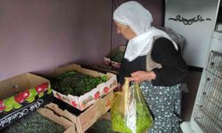 40 günde 350 bin TL gelir kapısı: 72 aileye dağıtıldı