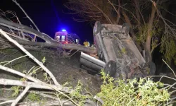 Otomobil yol kenarındaki ağaca çarpıp devrildi: 1 ölü, 4 yaralı