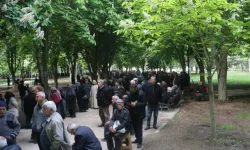 300 bin domates fidesi dağıtıldı; metrelerce kuyruk oluştu