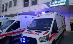 Akrabalarını silahla öldüren baba ve oğlu gözaltına alındı