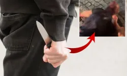 Akrabasının Boğazını Kesip Kahvehanenin Önüne Bıraktı