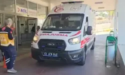 Bahçesinde gördüğü yılanı vurmak isterken av tüfeği ile 5 kişiyi yaraladı