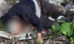 Başından Vurulmuştu: 67 Yaşındaki Adamın Katili Yakalandı