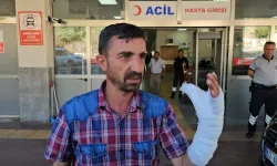 Bayramın İlk Günü: 232 Kişi Yaralandı