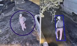Bedensel Engelli Nöroloji Doktoru Alime Özge Kimdir, Olayı Ne?