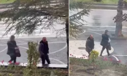 Belediyenin Diktiği Laleleri Söküp Çantalarına Doldurdular