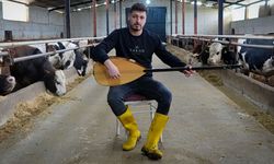 Besici kurbanlık hayvanlarına saz çalıp, türkü söylüyor