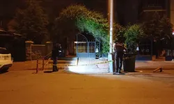 Darbedilen kadına yardım eden 2 kardeş bıçakla yaralandı
