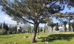 Derdimend Dede Tepesi'nde temizlikte ev ve araba dileği çıktı!