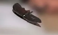 Doktora bıçak çeken şüpheli, tutuklandı