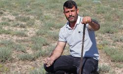 Elindeki demirle günde 60 bin lira buluyor! Mantar toplayarak ev ve araba aldı!