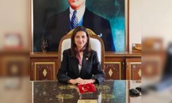 Enez Kaymakamı Merve Ayık Kimdir, Merve Ayık'a Ne Oldu, Sağlık Durumu Nasıl?