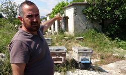 Erdemli'de arılıkta kamera şoku! Şüpheli kamerayı parçaladı!