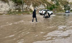 Fırat Nehri taştı, her yeri su bastı: Bölge sular altında kaldı