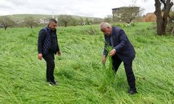 Gaziantep'te süper hücre buğday tarlalarını yerle bir etti