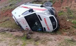 Hasta taşıyan ambulans devrildi