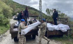 Heyelan riski altındaki köy boşaltılıyor