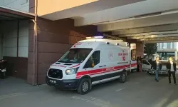 İki Aile Birbirine Girdi: Taşlı ve Sopalı Kavgada 15 Kişi Yaralandı