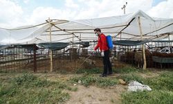 Kahramanmaraş’ta bayram mesaisi! Temizlik ve ilaçlama aralıksız sürüyor