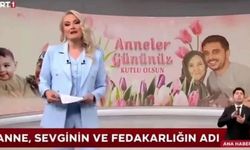 Işıl Açıkkar Ne Dedi, Hayvanlarla İlgili Ne Açıklama Yaptı? TRT 1 Sunucusu Işıl Açıkkar'ın Kedisi Mi Var?