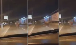 Kaçan Kurbanlık Boğa Trafiği Felç Etti