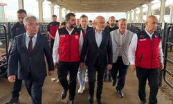 Kahramanmaraş Canlı Hayvan Borsası'nda Kurban Bayramı denetimi