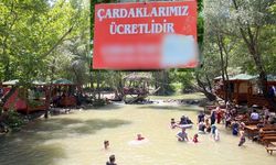 Kahramanmaraş Fırnız’da Bayram Şoku! Çardak Fiyatları Uçtu
