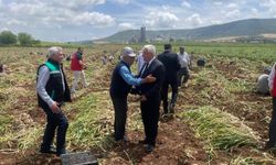Kahramanmaraş Pazarcık’ta “Beyaz Altın” Hasadı Yapıldı