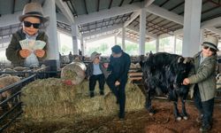 Kahramanmaraş'ta Babasına Yardım Eden Minik Efe Pazarın Maskotu Oldu