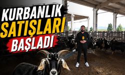 Kahramanmaraş’ta Kurban Pazarı Açıldı, Satışlar Başladı