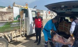 Kahramanmaraş'ta mevzuata aykırı taşınan etler imha edildi