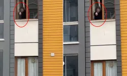 Karşı apartmandaki kadına cins*l içerikli el hareketi yaptı