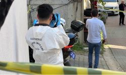 Kayınvalide damadını bıçaklayarak öldürdü