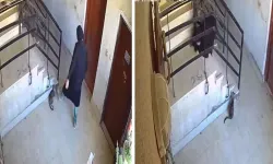Kediyi Tekmeleyen Kadın Saniyeler Sonra Yere Düştü