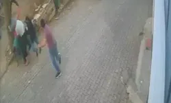 Kesilmek üzereyken kaçan boğa güçlükle yakalandı
