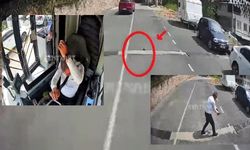 Kocaeli'de alkışlanacak hareket! Şoför kaplumbağayı kurtardı