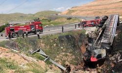 Kömür yüklü TIR şarampole devrildi: Sürücü yanarak hayatını kaybetti