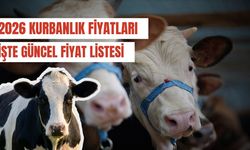 Kurbanlık Fiyatları 2026: Dana, Koyun, Keçi Kaç TL Oldu? İşte Güncel Liste