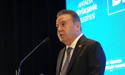 Muhittin Böcek'in Serveti Ne Kadar, Mal Varlığı Nedir? Böcek Ailesinin Mal Varlığı Nedir?