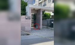 Bomba paniği: Fünye ile patlatıldı, çantadan bakın ne çıktı