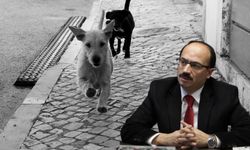 Osman Mesten Kimdir, Köpeklerle İlgili Ne Dedi? AK Parti Bursa Milletvekili Osman Mesten Kaç Yaşında, Nereli?