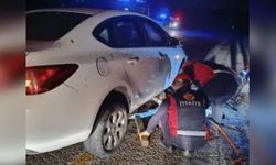 Otomobil sürüye daldı: 2 kişi yaralandı, 40 koyun öldü