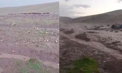 Sağanak ve dolu sonrası sel: Hayvanlar son anda kurtarıldı